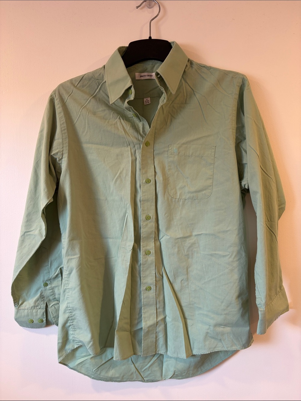 Pierre Cardin Light Green Casual Button-Down Shirt